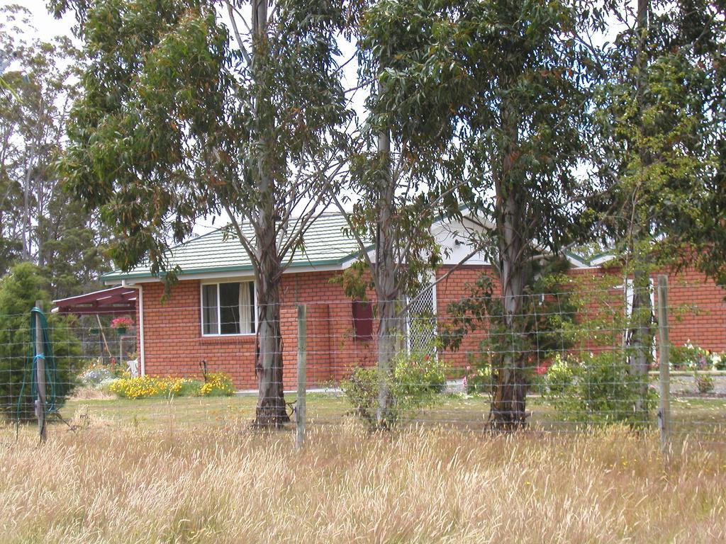 Villa Quamby Pines Chalet à Deloraine Extérieur photo